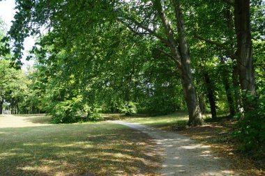 Tarihi bir parkta muhteşem bir bitki örtüsüyle güzel bir manzara. Sanssouci Parkı 1700 'lerin ortalarında Büyük Frederick' in altında inşa edilen Sanssouci Sarayı 'nı çevreleyen büyük bir parktır. Potsdam, Almanya 