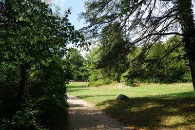 Tarihi bir parkta muhteşem bir bitki örtüsüyle güzel bir manzara. Sanssouci Parkı 1700 'lerin ortalarında Büyük Frederick' in altında inşa edilen Sanssouci Sarayı 'nı çevreleyen büyük bir parktır. Potsdam, Almanya 