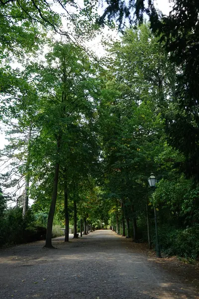歴史的な公園で壮大な植生と美しい風景 サンスナッチ公園は 1700年代半ばにフレデリック大王の下に建てられたサンスナッチ宮殿を囲む大きな公園です ポツダム ドイツ — ストック写真