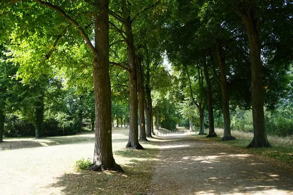 Piękny Krajobraz Wspaniałą Roślinnością Zabytkowym Parku Park Sanssouci Jest Dużym — Zdjęcie stockowe