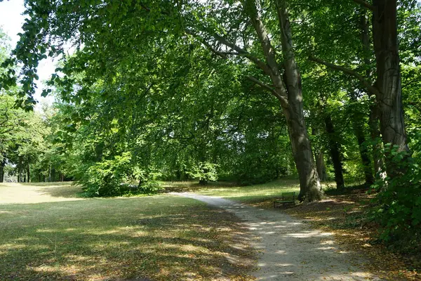 Beautiful Landscape Magnificent Vegetation Historical Park Sanssouci Park Large Park — Stock Photo, Image