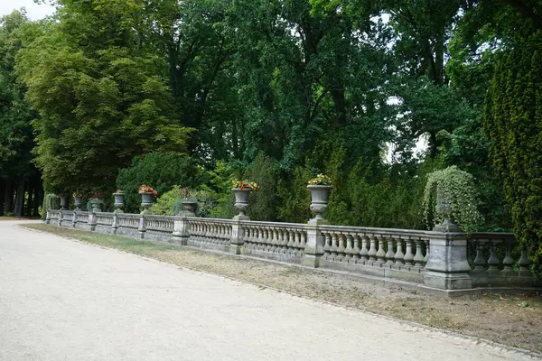 在Sanssouci公园的围栏上 长出了一种长在两栖动物中的多角龙 贝科尼亚多角龙 金丝虫和红丝虫 德国波茨坦 — 图库照片