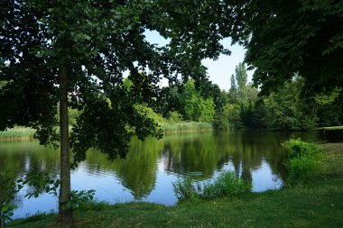 Temmuz ayında Park Sanssouci 'de muhteşem bitki örtüsüyle çevrili Maschinenteich göleti manzarası. Potsdam, Almanya