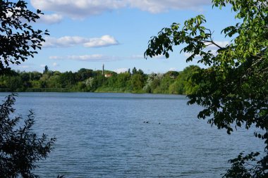 Biesdorfer Baggersee Gölü manzarası ağustosta muhteşem bir bitki örtüsüyle çevrilidir. Berlin, Almanya