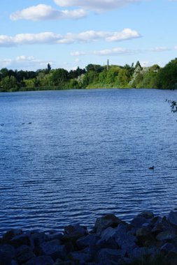 Biesdorfer Baggersee Gölü manzarası ağustosta muhteşem bir bitki örtüsüyle çevrilidir. Berlin, Almanya