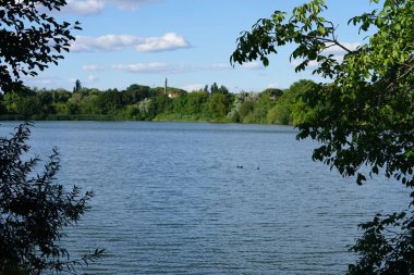 Biesdorfer Baggersee Gölü manzarası ağustosta muhteşem bir bitki örtüsüyle çevrilidir. Berlin, Almanya