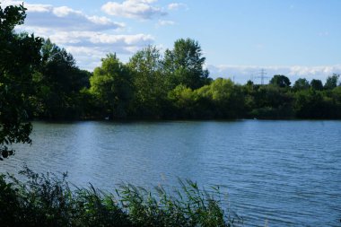 Biesdorfer Baggersee Gölü manzarası ağustosta muhteşem bir bitki örtüsüyle çevrilidir. Berlin, Almanya