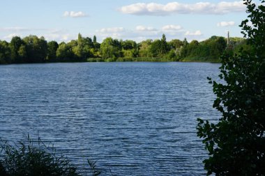 Biesdorfer Baggersee Gölü manzarası ağustosta muhteşem bir bitki örtüsüyle çevrilidir. Berlin, Almanya