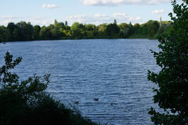 Biesdorfer Baggersee Gölü manzarası ağustosta muhteşem bir bitki örtüsüyle çevrilidir. Berlin, Almanya