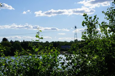 Biesdorfer Baggersee Gölü manzarası ağustosta muhteşem bir bitki örtüsüyle çevrilidir. Berlin, Almanya