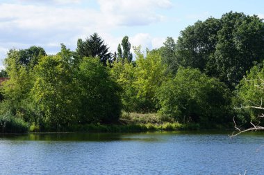 Ağustos ayında Wuhlesee Gölü yemyeşil bitki örtüsüyle çevrilidir. Wuhlebecken, Almanya 'da Berlin eyaletinde yer alan bir göldür.
