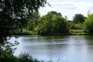 Ağustos ayında Wuhlesee Gölü yemyeşil bitki örtüsüyle çevrilidir. Wuhlebecken, Almanya 'da Berlin eyaletinde yer alan bir göldür.