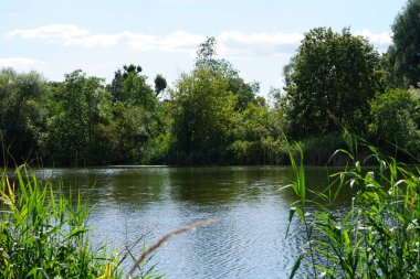 Ağustos ayında Wuhlesee Gölü yemyeşil bitki örtüsüyle çevrilidir. Wuhlebecken, Almanya 'da Berlin eyaletinde yer alan bir göldür.