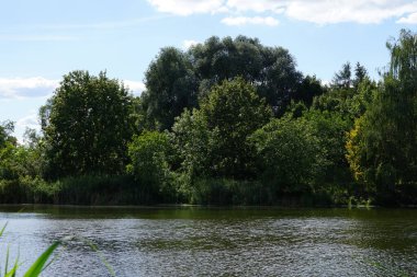 Ağustos ayında Wuhlesee Gölü yemyeşil bitki örtüsüyle çevrilidir. Wuhlebecken, Almanya 'da Berlin eyaletinde yer alan bir göldür.