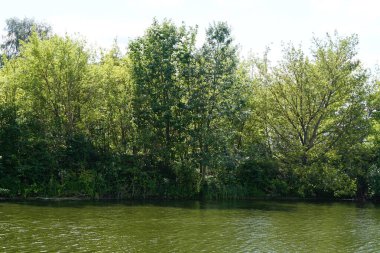 Ağustos ayında Wuhlesee Gölü yemyeşil bitki örtüsüyle çevrilidir. Wuhlebecken, Almanya 'da Berlin eyaletinde yer alan bir göldür.