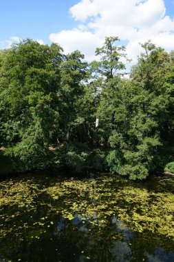 Ağustosta eski Spandau kasabasındaki nehir manzarası. Berlin, Almanya 