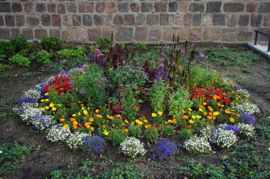 Ağustosta, Almanya 'nın başkenti Spandau' da renkli çiçekler açan yuvarlak çiçek tarhı.