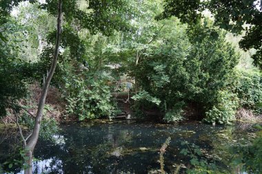 Sığ Wuhle Nehri Ağustos ayında yaz bitkileriyle çevrilidir. Wuhle, Spree 'nin küçük bir sağ koludur. Berlin, Almanya 
