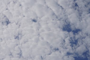 Ağustosta gökyüzüne bakmak. Berlin, Almanya 