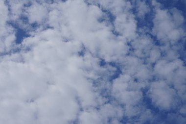 Ağustosta gökyüzüne bakmak. Berlin, Almanya 