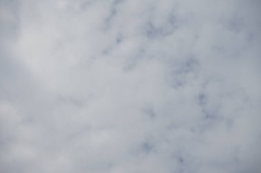 Ağustosta gökyüzüne bakmak. Berlin, Almanya  