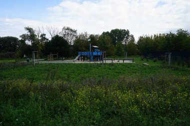 Eylül 'de Wuhle nehrinin yanındaki çocuk parkının yanında çayır çiçekleri yetişir. Berlin, Almanya 