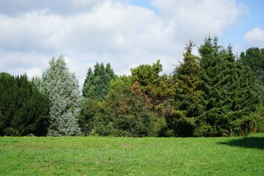 Eylül ayında Wuhle nehri civarındaki bitki örtüsü ile güzel bir doğal manzara. Berlin, Almanya 