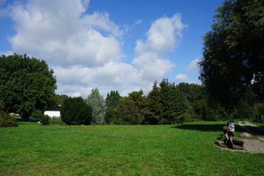 Eylül ayında Wuhle nehri civarındaki bitki örtüsü ile güzel bir doğal manzara. Berlin, Almanya 
