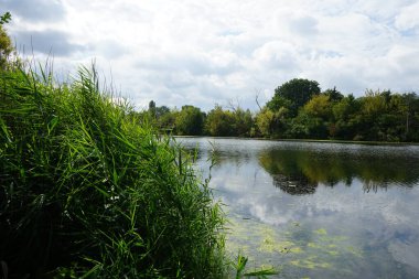 Eylül ayında Wuhlesee Gölü yemyeşil bitki örtüsüyle çevrilidir. Wuhlebecken, Almanya 'da Berlin eyaletinde yer alan bir göldür. 