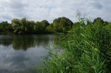 Eylül ayında Wuhlesee Gölü yemyeşil bitki örtüsüyle çevrilidir. Wuhlebecken, Almanya 'da Berlin eyaletinde yer alan bir göldür. 