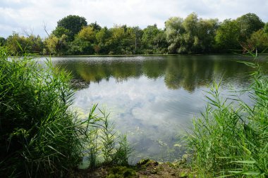 Eylül ayında Wuhlesee Gölü yemyeşil bitki örtüsüyle çevrilidir. Wuhlebecken, Almanya 'da Berlin eyaletinde yer alan bir göldür. 