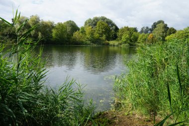 Eylül ayında Wuhlesee Gölü yemyeşil bitki örtüsüyle çevrilidir. Wuhlebecken, Almanya 'da Berlin eyaletinde yer alan bir göldür. 