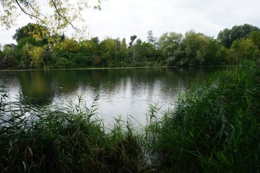 Eylül ayında Wuhlesee Gölü yemyeşil bitki örtüsüyle çevrilidir. Wuhlebecken, Almanya 'da Berlin eyaletinde yer alan bir göldür. 