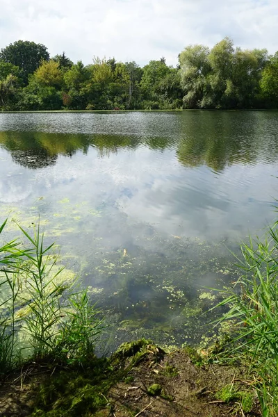 Eylül ayında Wuhlesee Gölü yemyeşil bitki örtüsüyle çevrilidir. Wuhlebecken, Almanya 'da Berlin eyaletinde yer alan bir göldür. 