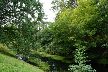 Sığ Wuhle Nehri Eylül ayında yaz bitkileriyle çevrilidir. Wuhle, Spree 'nin küçük bir sağ koludur. Berlin, Almanya 