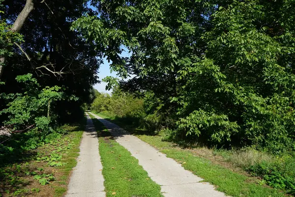 İzler Wuhle Nehri boyunca uzanıyor. Wuhletal yürüyüş yolu bir Berlin yürüyüş yoludur. Berlin, Almanya 