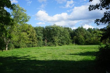 Eylül ayındaki bitki örtüsüyle güzel bir doğal manzara. Berlin, Almanya 