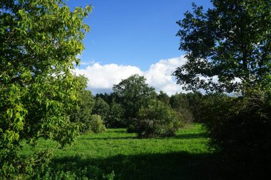 Eylül ayındaki bitki örtüsüyle güzel bir doğal manzara. Berlin, Almanya 