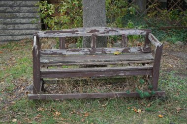 Yolun kenarındaki bir ağacın yanında eski bir ahşap bank duruyor. Berlin, Almanya