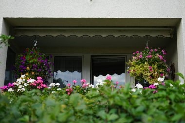 Modern bir konut binasının balkonu ekim ayında çiçeklerle süslenir. Berlin, Almanya 