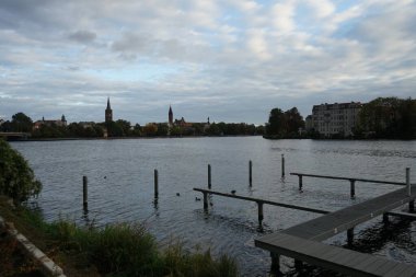 Yaban ördeği ördeği Anas platyrhynchos, Avrasyalı ördek Fulica atra ve siyah başlı martı Chroicocephalus ridibundus eski Koepenick kasabası yakınlarındaki Spree nehrinin yakınlarında yaşarlar. Berlin, Almanya