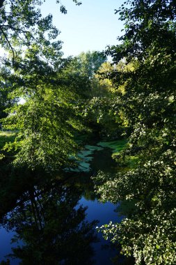 Sığ Wuhle Nehri sonbahar bitkileriyle çevrilidir. Wuhle, Spree 'nin küçük bir sağ kıyısı haracı. Berlin, Almanya