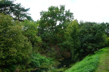 Sığ Wuhle Nehri sonbahar bitkileriyle çevrilidir. Wuhle, Spree 'nin küçük bir sağ kıyısı haracı. Berlin, Almanya 