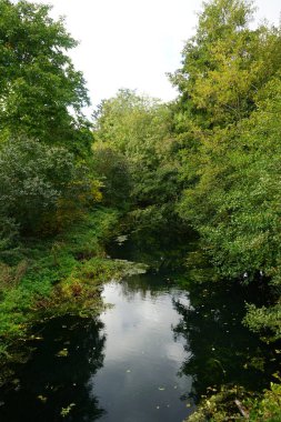 Sığ Wuhle Nehri sonbahar bitkileriyle çevrilidir. Wuhle, Spree 'nin küçük bir sağ kıyısı haracı. Berlin, Almanya 