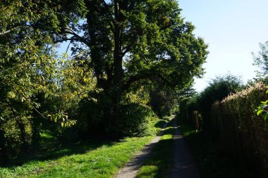 İzler sonbaharda Wuhle Nehri boyunca akar. Wuhletal yürüyüş yolu bir Berlin yürüyüş yoludur. Berlin, Almanya 