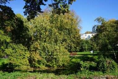 Sığ Wuhle Nehri sonbahar bitkileriyle çevrilidir. Wuhle, Spree 'nin küçük bir sağ kıyısı haracı. Berlin, Almanya 