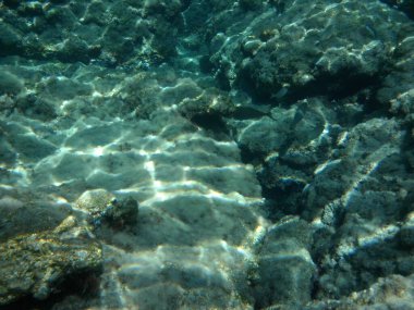 Rodos adası yakınlarındaki Akdeniz 'in inanılmaz sualtı dünyası. Bu denizin bitki örtüsü ve faunasının sualtı fotoğrafçılığı. Rodos, Yunanistan 