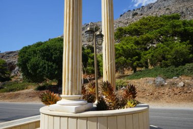 Dekoratif sütunlar bir çiçek tarhını Aloe x nobilis 