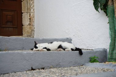 Ağustos ayında Rodos adasındaki eski bir evin verandasının merdivenlerinde siyah beyaz bir kedi yatıyor. Kedi Felis catus, Felidae familyasındaki tek evcil kedi türüdür. Lindos, Rhodes Adası, Yunanistan
