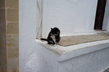 Tüylü, siyah beyaz bir kedi Lindos 'ta tarihi bir evin yakınında yıkanır. Kedi Felis catus, Felidae familyasındaki tek evcil kedi türüdür. Rodos, Yunanistan 